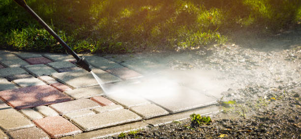 Best Fleet Vehicle Washing  in Richwood, WV